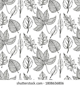 Vector decorativo de la hoja étnica de color blanco y negro sin costuras. Patrón de hojas de planta sin soldadura. Ilustración vectorial del fondo de la naturaleza.