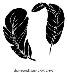 Vector decorative feather sketch. Abstraction, set. Sketch, illustration.