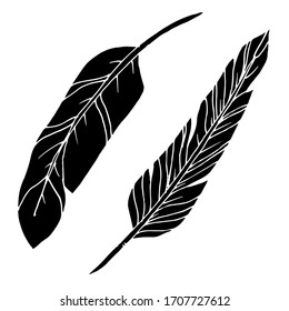 Dibujo de plumas decorativas vectoriales. Abstracción, set. Dibujo, ilustración.