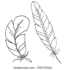 Vector decorative feather sketch. Abstraction, set. Sketch, illustration.