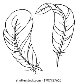 Vector decorative feather sketch. Abstraction, set. Sketch, illustration.