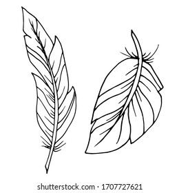 Vector decorative feather sketch. Abstraction, set. Sketch, illustration.