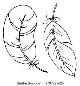 Dibujo de plumas decorativas vectoriales. Abstracción, set. Dibujo, ilustración.