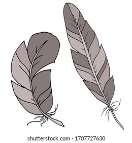 Vector decorative feather sketch. Abstraction, set. Sketch, illustration.