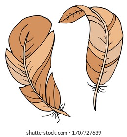 Vector decorative feather sketch. Abstraction, set. Sketch, illustration.