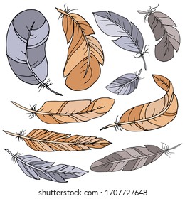 Vector decorative feather sketch. Abstraction, set. Sketch, illustration.