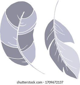 Vector decorative feather sketch. Abstraction, set. Sketch, illustration.