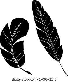 Vector decorative feather sketch. Abstraction, set. Sketch, illustration.