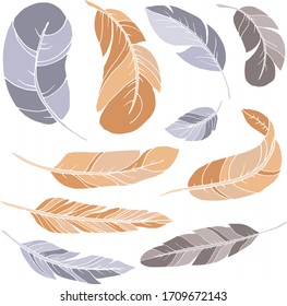 Vector decorative feather sketch. Abstraction, set. Sketch, illustration.