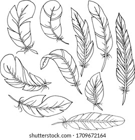 Vector decorative feather sketch. Abstraction, set. Sketch, illustration.