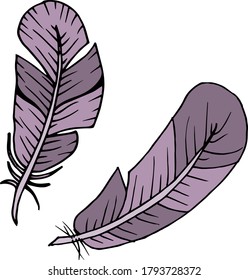 Vector decorative feather sketch. Abstraction, set. Sketch, illustration.