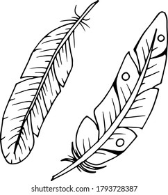Vector decorative feather sketch. Abstraction, set. Sketch, illustration.
