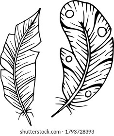 Esbozo de plumas decorativas vectoriales. Abstracción, set. Esbozo, ilustración.