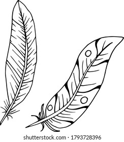 Vector decorative feather sketch. Abstraction, set. Sketch, illustration.
