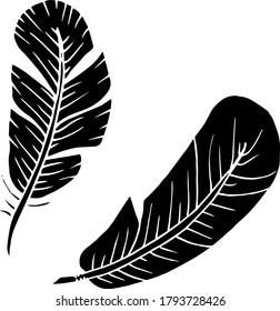 Vector decorative feather sketch. Abstraction, set. Sketch, illustration.