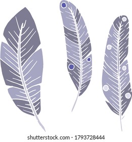 Vector decorative feather sketch. Abstraction, set. Sketch, illustration.