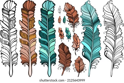 Vector decorative feather sketch. Abstraction, set. Sketch, illustration.