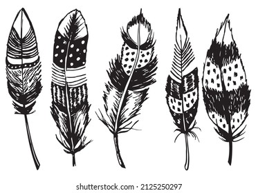 Pluma decorativa vectorial, diseño tribal, tatuaje. Conjunto de plumas dibujadas artísticamente, estilizadas, vectoriales sobre un fondo blanco. Una vieja pluma tribal. 