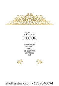 Marco decorativo vectorial. Elemento elegante para plantilla de diseño, lugar para texto. Borde floral. Decoración de encaje para cumpleaños y tarjeta de saludo, invitación a la boda.