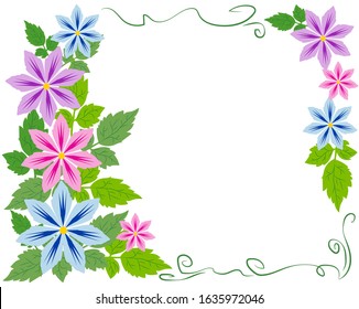 Vector decorative frame with flowers and leaves of clematis, isolated background
