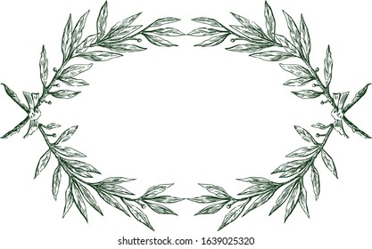 Vector decorative frame from sketches laurel branches with ribbon