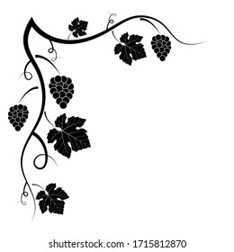 Vector decorative frame of vine on a white background. Black-white ornate silhouette. An element of your design.