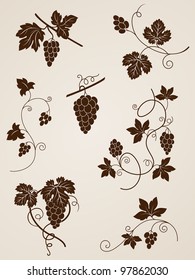 Vector Decorative Grape Vine Elements For Design