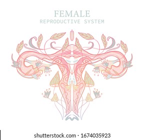 Vector decorative illustration of female reproductive system in fairy style