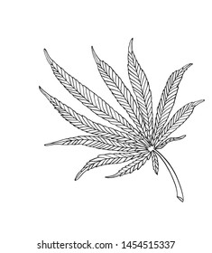 Vector Decorative illustration leave of big hemp
