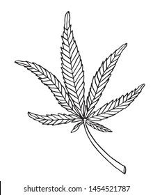 Vector Decorative illustration leave of big hemp