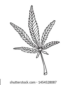 Vector Decorative illustration leave of big hemp