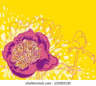 Vector decorative image peony flowers