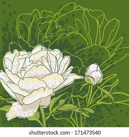 Vector decorative image peony flowers