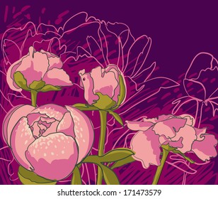 Vector decorative image peony flowers