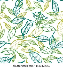 Vector decorative leaf seamless pattern. Tropical leaves. Green color