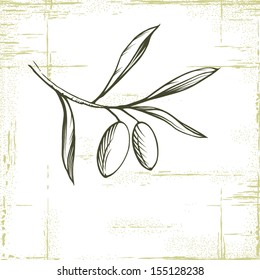 Vector decorative olive branch.