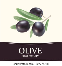 Vector decorative olive branch.For label, pack