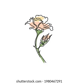Flor rosa decorativa vectorial aislada en fondo blanco, de fondo, de línea negra, manchas de color en colores pastel, impresión para la decoración