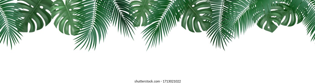 Vector decorative seamless pattern with realistic palm and monstera leaves on white background