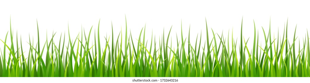 Vector decorative seamless pattern with shaded green grass leaves on white background