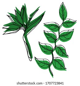 Vector decorative sketch of tropical leaves. Exotic, tropics, relaxation. Nature. Sketch, illustration.