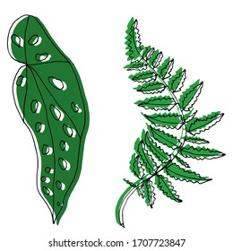 Esbozo decorativo vectorial de hojas tropicales. Exótico, tropical, relajación. Naturaleza. Dibujo, ilustración.