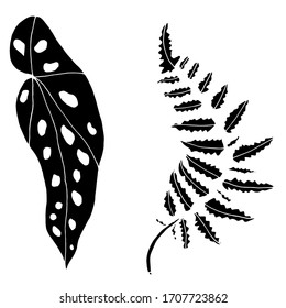Vector decorative sketch of tropical leaves. Exotic, tropics, relaxation. Nature. Sketch, illustration.