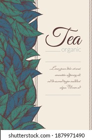 Vector decorative vintage banner with tea or flower leaves and text. Imitation of hand drawing on old craft paper. Tea packaging and label design. Poster or invitation for the holiday. Herbal pattern.