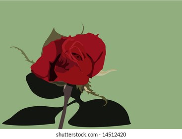 vector deep red rose
