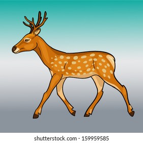 4,056 Deer side view Images, Stock Photos & Vectors | Shutterstock