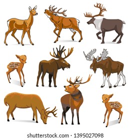 VECTOR DEER ANIMALS WITH HORN