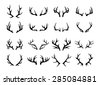 elk antlers