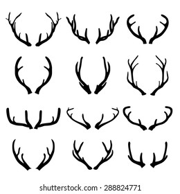 Vector deer antlers on white background