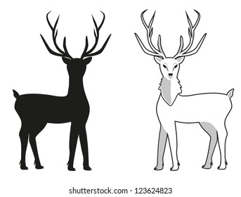 vector deer with beautiful horns